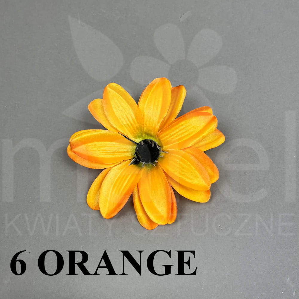 6 ORANGE.jpg