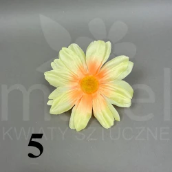 Gerbera RF6059