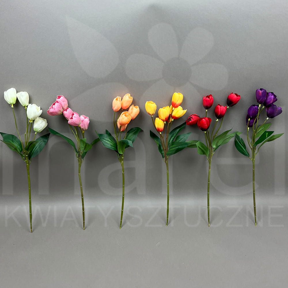 TULIPAN FLO1197 160x4ZŁ.jpg