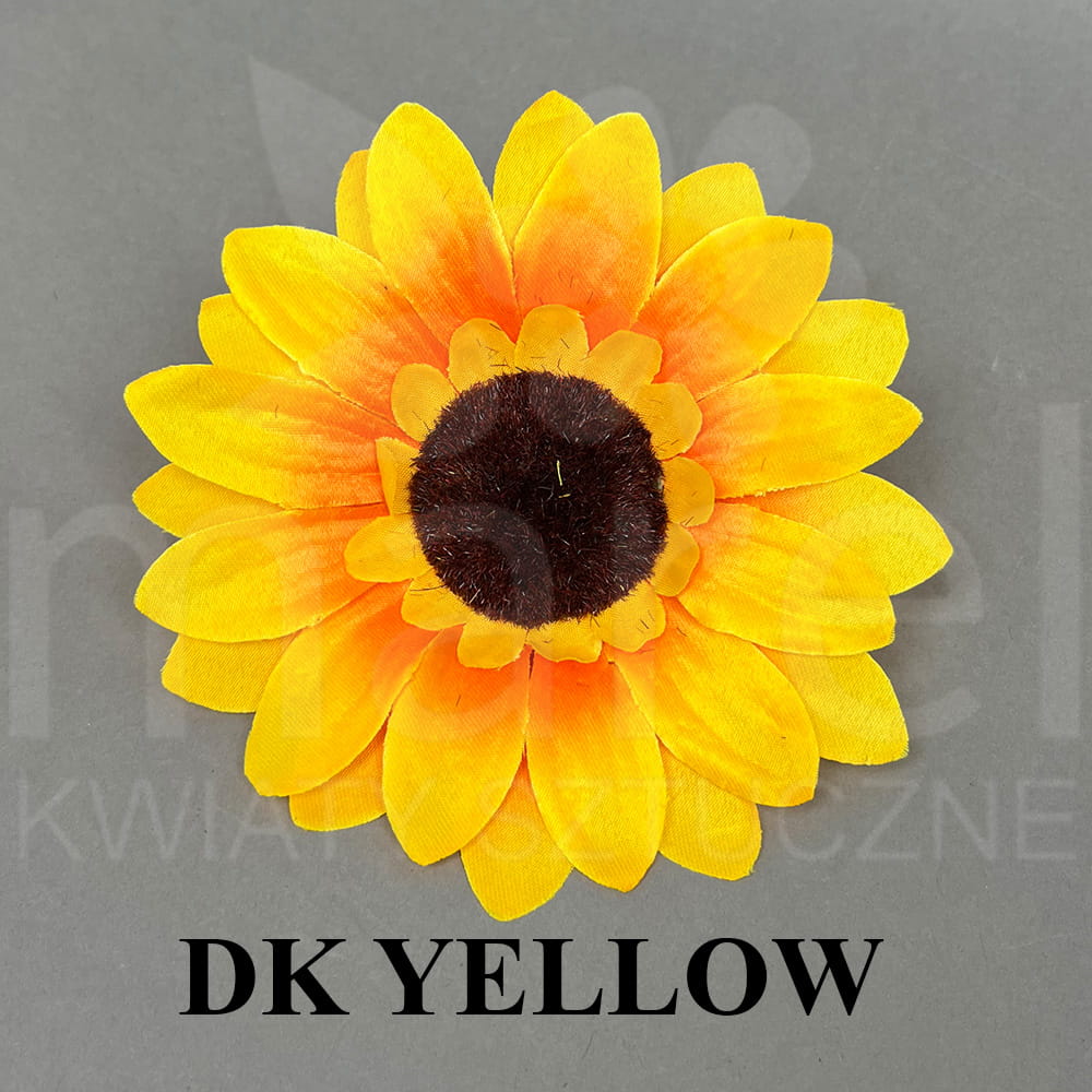 DK YELLOW.jpg