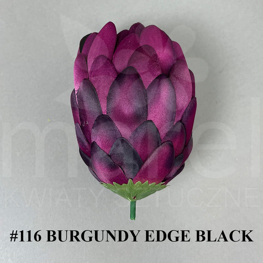 #116 BURGUNDY EDGE BLACK.jpg