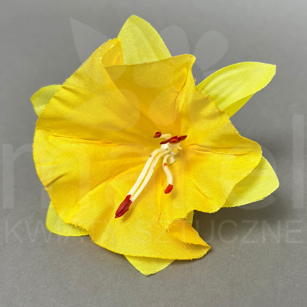 Żonkil FML065760H YELLOW.jpg