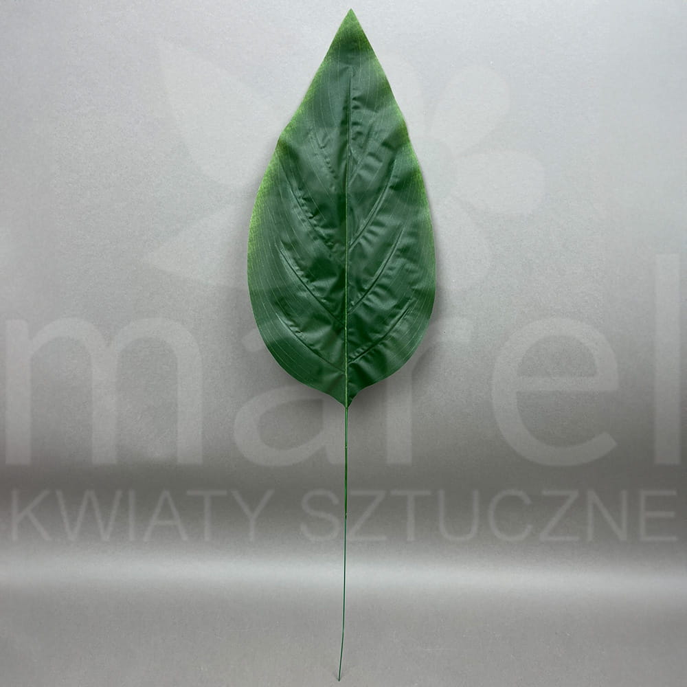 18-367-5.jpg