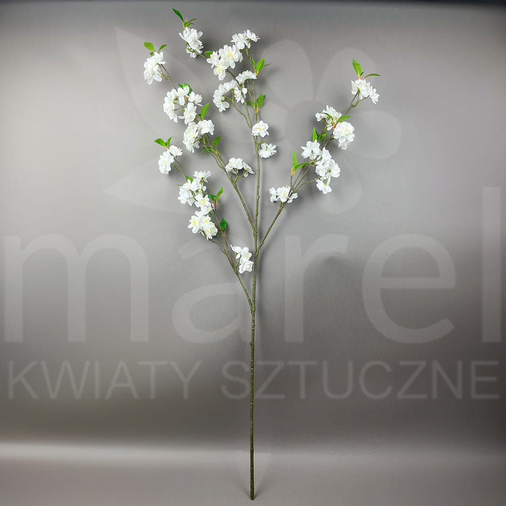 JABŁONKA KLM1162 WHITE 24SZT.jpg