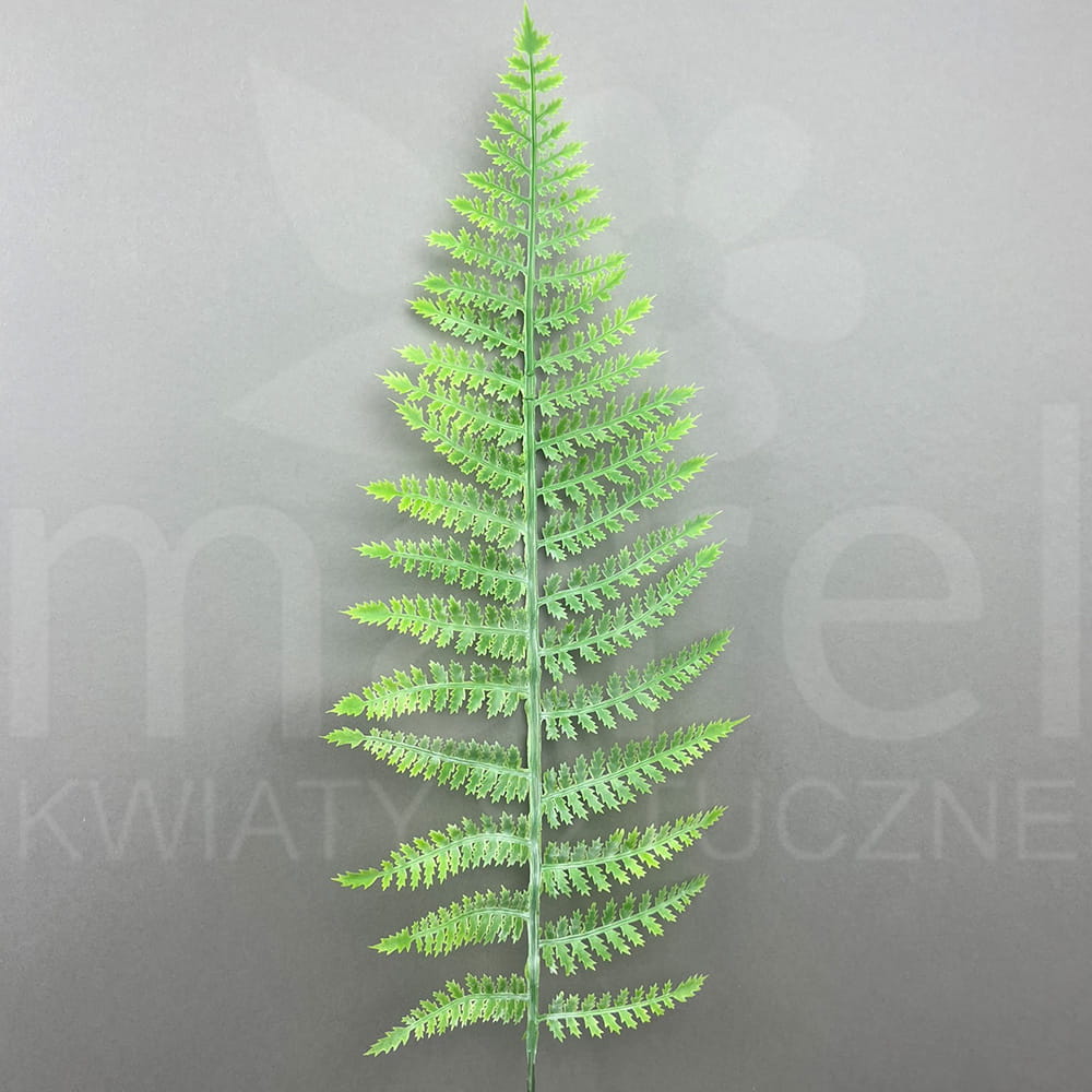 TIK121 POWDERLTGREEN .jpg