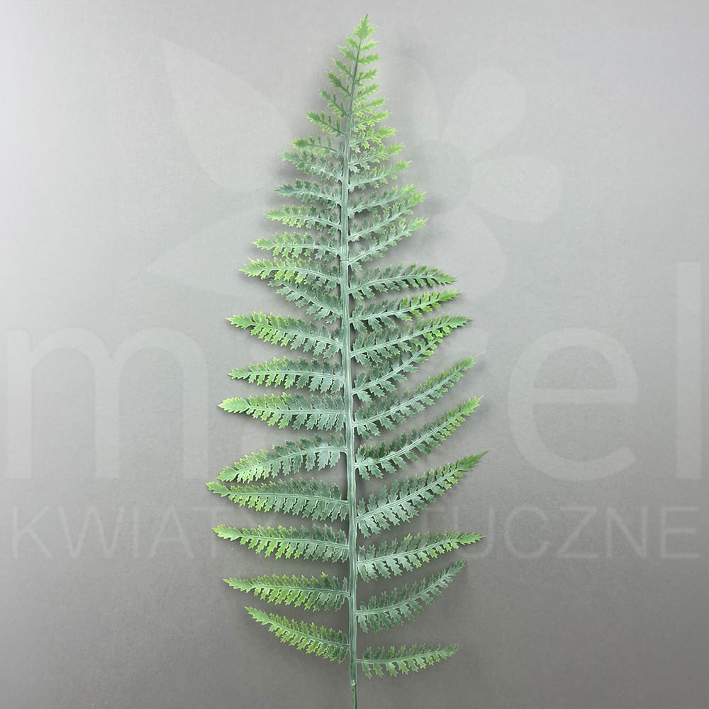 TIK121 DR GREEN POWDER 12SZT.jpg