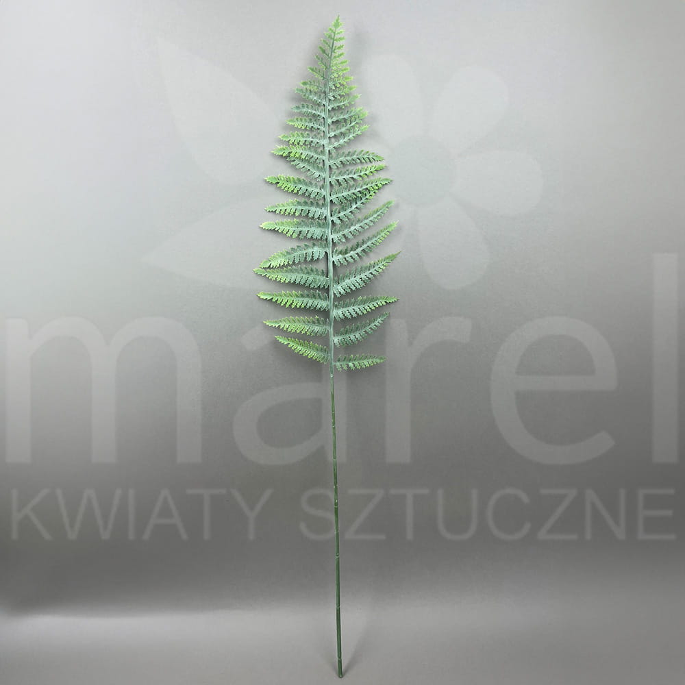 TIK121 DR GREEN POWDER12SZT.jpg