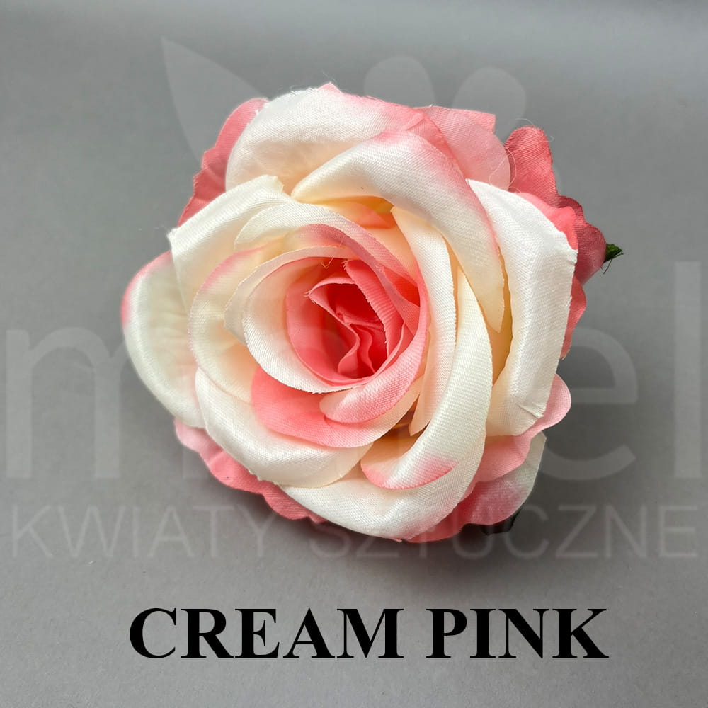 CREAM PINK.jpg