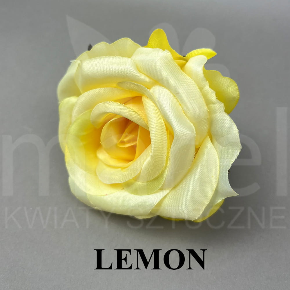 LEMON.jpg