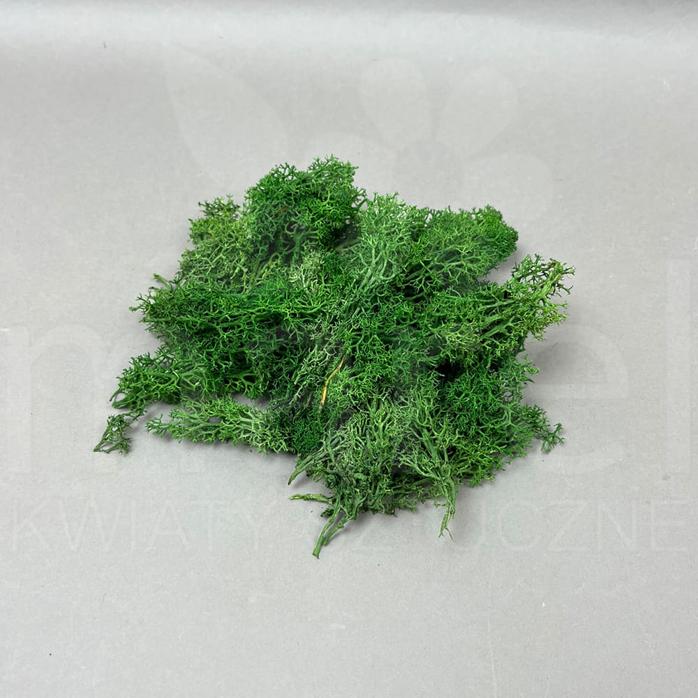 MECH GRASS DARK GREEN.jpg