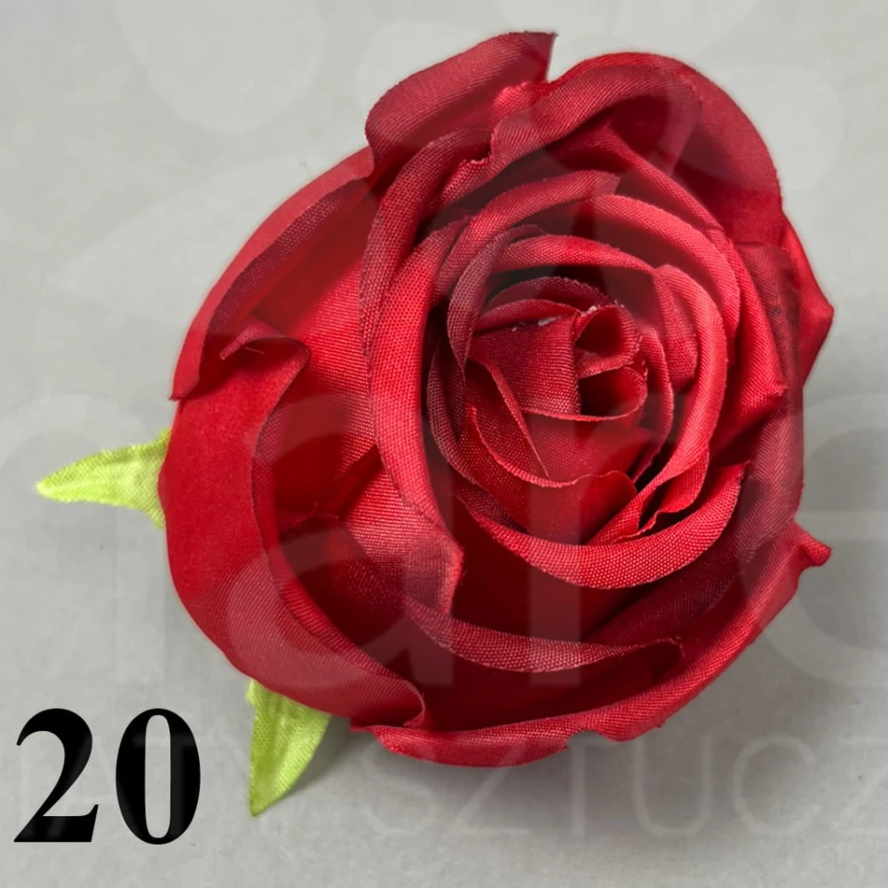 20.jpg