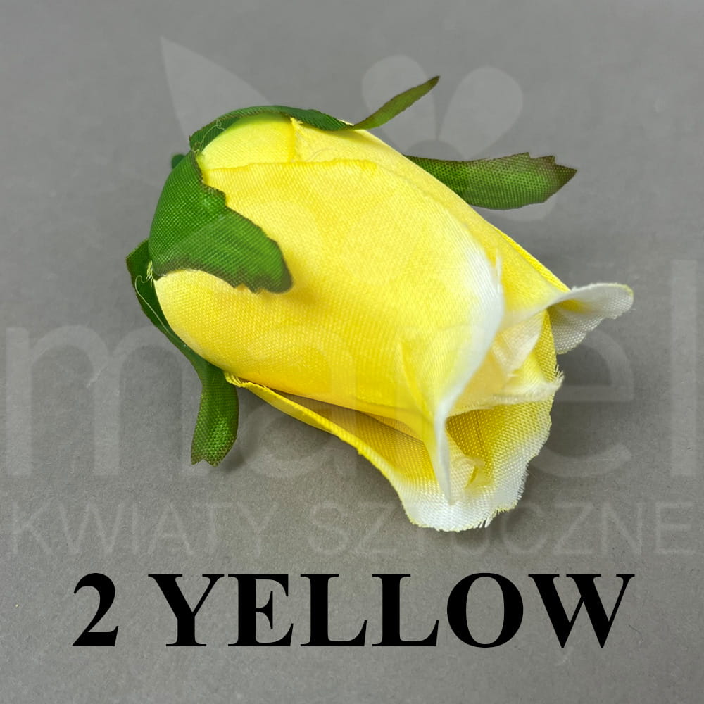2 YELLOW.jpg