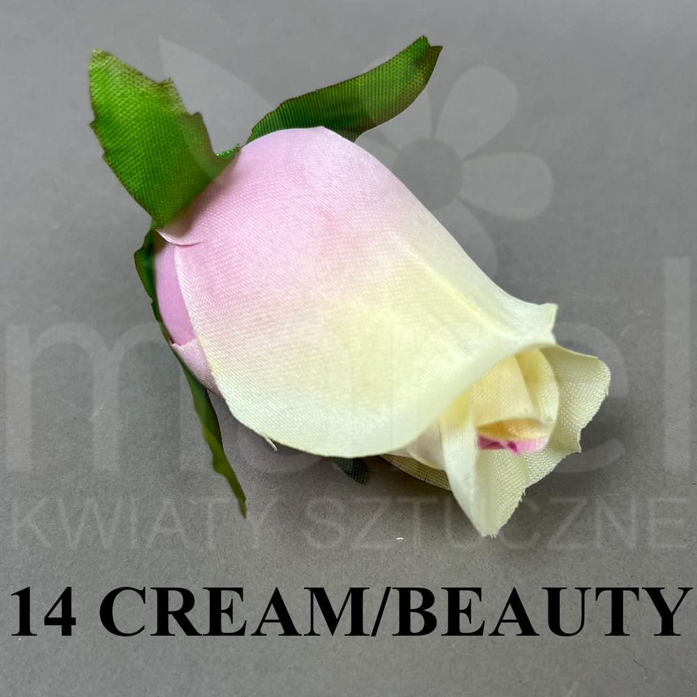 14 CREAM BEAUTY.jpg