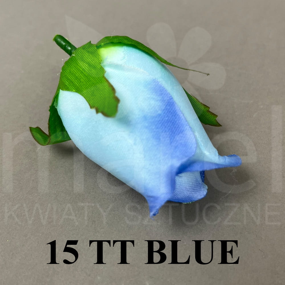 15 TT BLUE.jpg