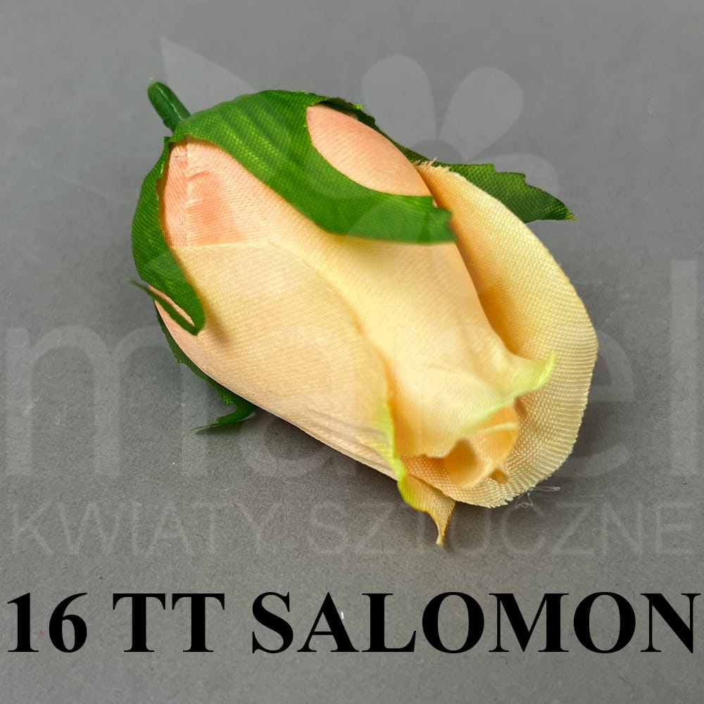 16 TT SALOMON.jpg