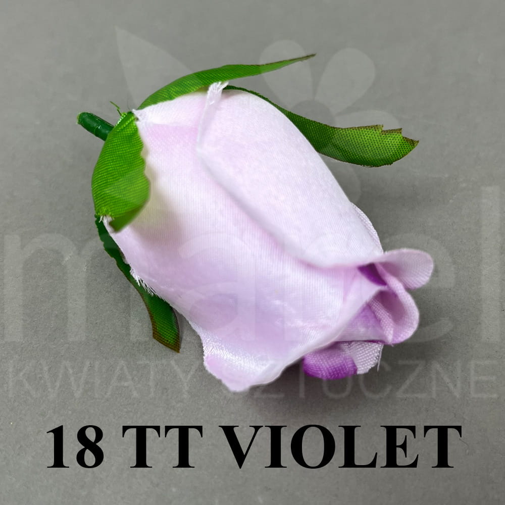 18 TT VIOLET.jpg