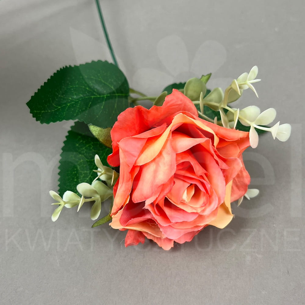 449 009 M6.jpg
