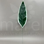 Liść FYIJ-3 GREEN