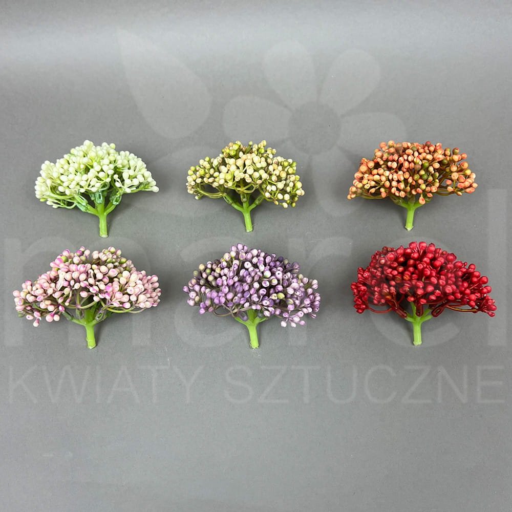 CZOSNEK T60-230808H MIX1 TYŁ.jpg
