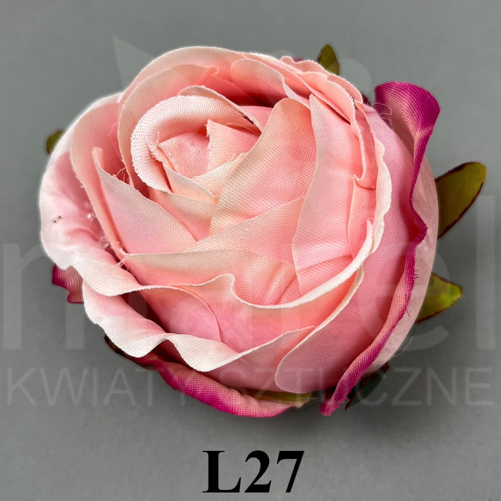 L27.jpg
