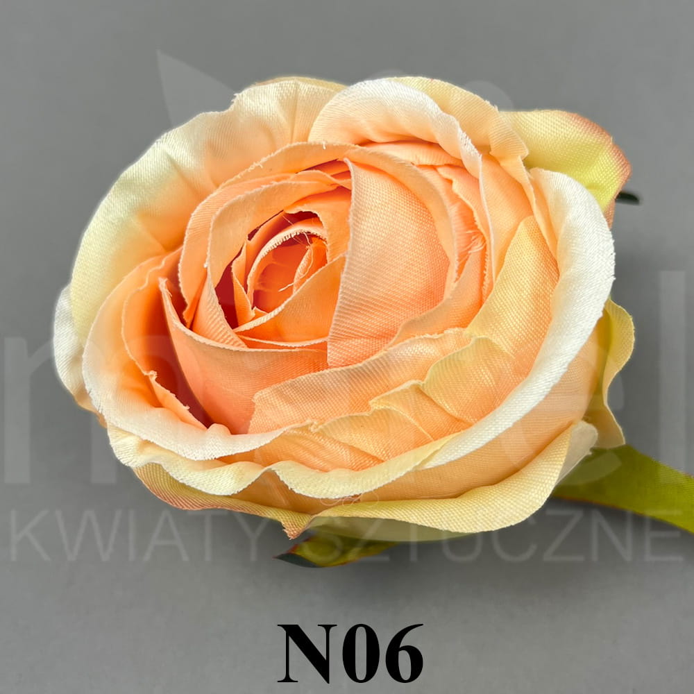 N06.jpg