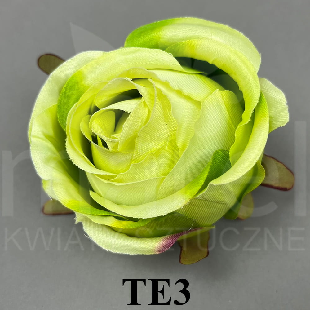 TE3.jpg