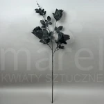 Róża M93296 BLACK