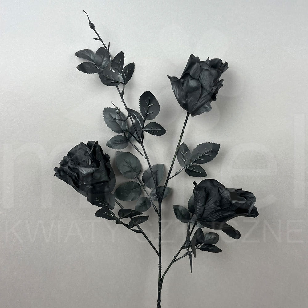 M93296 black.jpg
