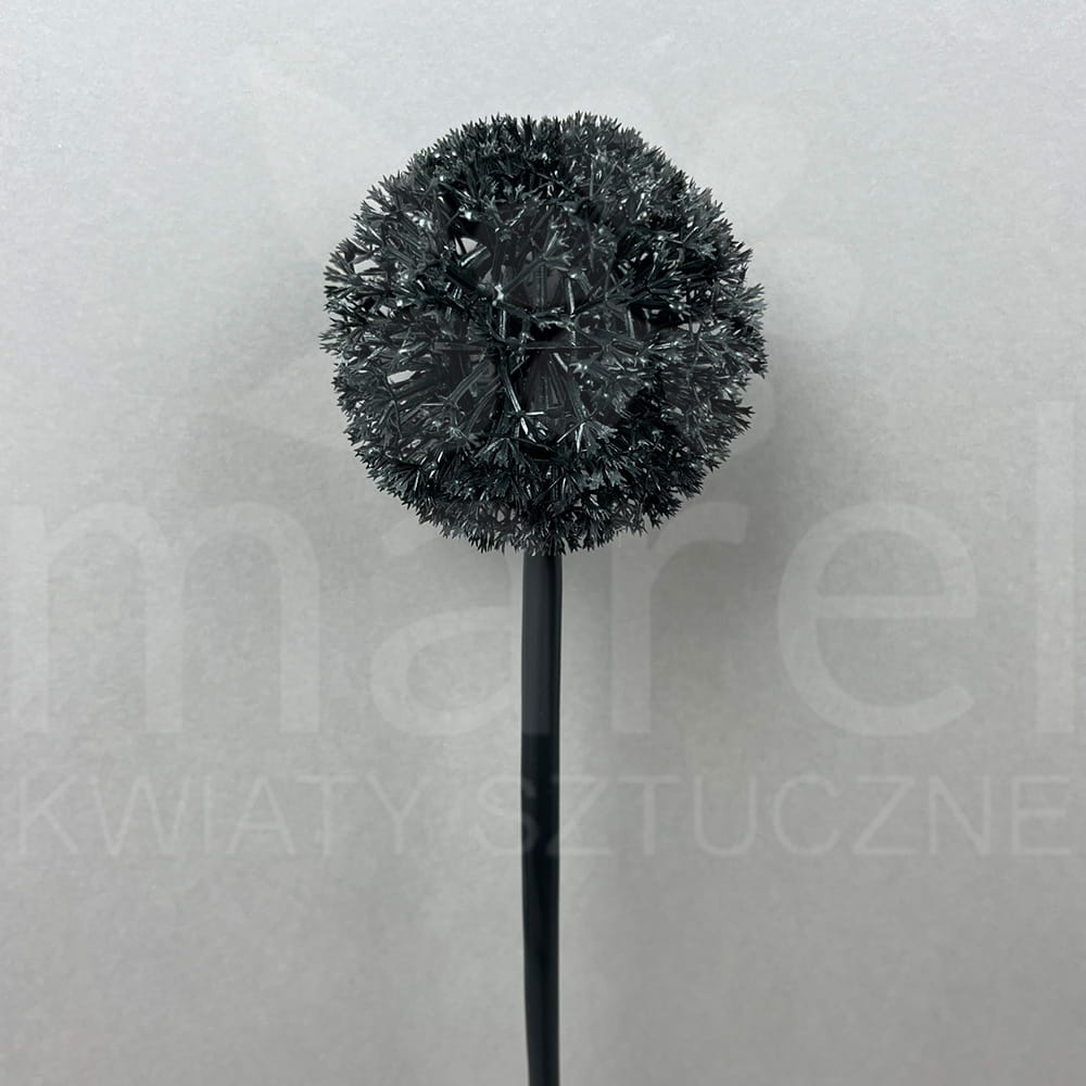 H262 BLACK PRZYB.jpg