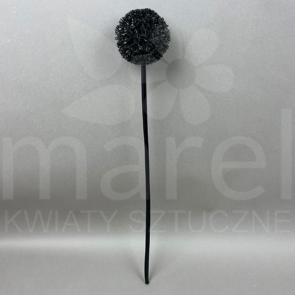 H262 BLACK.jpg