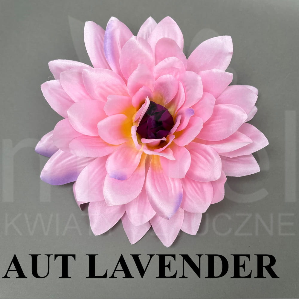 Aut Lavender.jpg