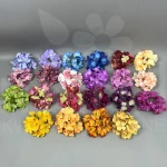 Hortensja P3-17 / A8-13 