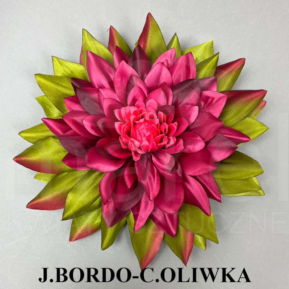 J.BORDO-C.OLIWKA.jpg