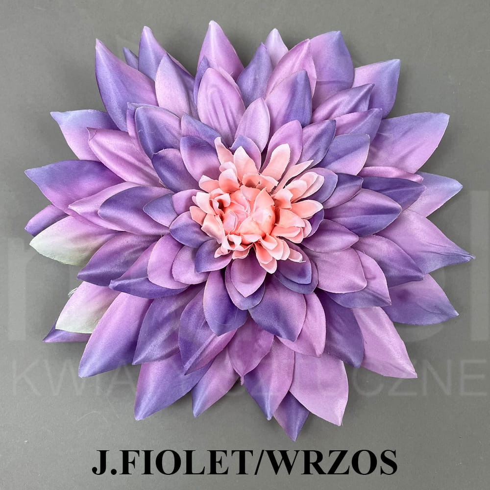 J.FIOLET WRZOS.jpg