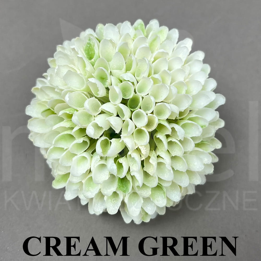 CREAM GREEN.jpg