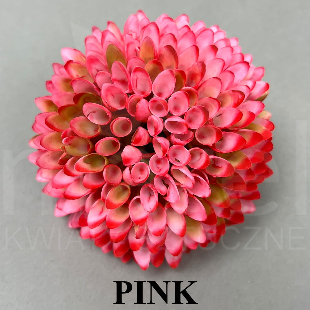 PINK.jpg