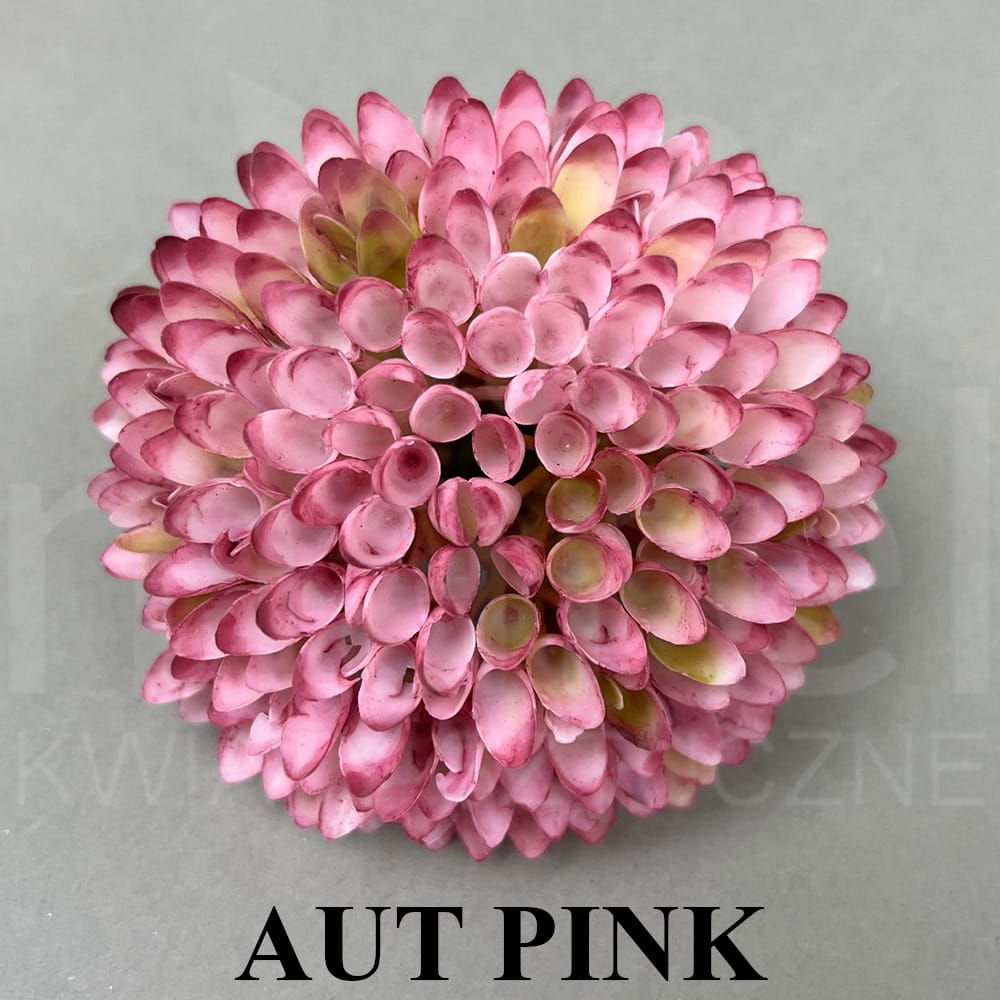 AUT PINK.jpg