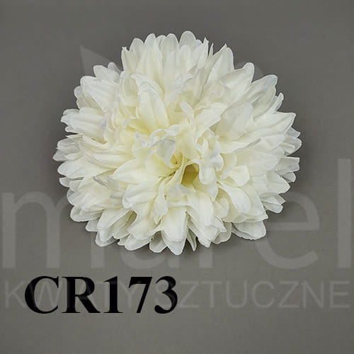 cr173.jpg