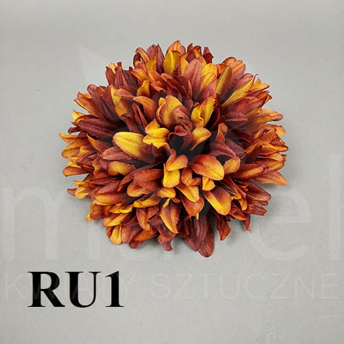 ru1.jpg