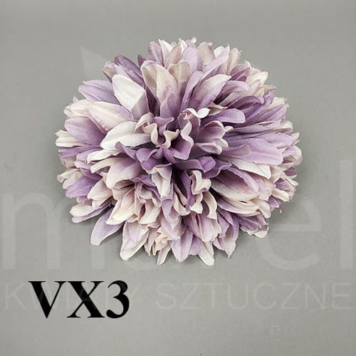 vx3.jpg