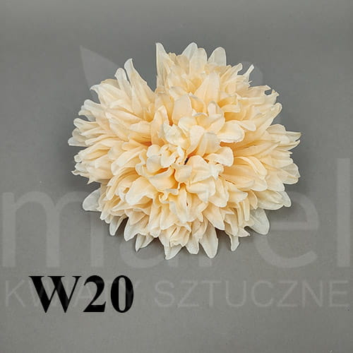 w20.jpg