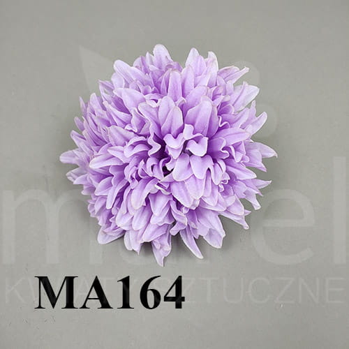 MA164.jpg