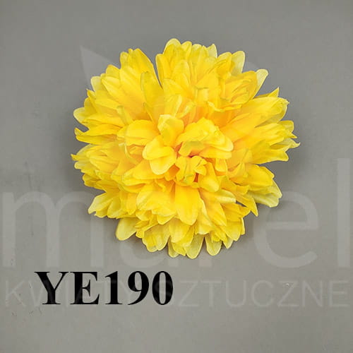 YE190.jpg