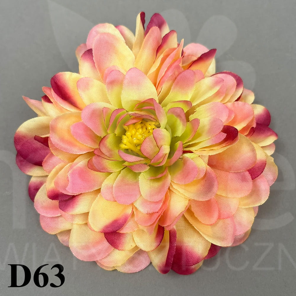 D63.jpg