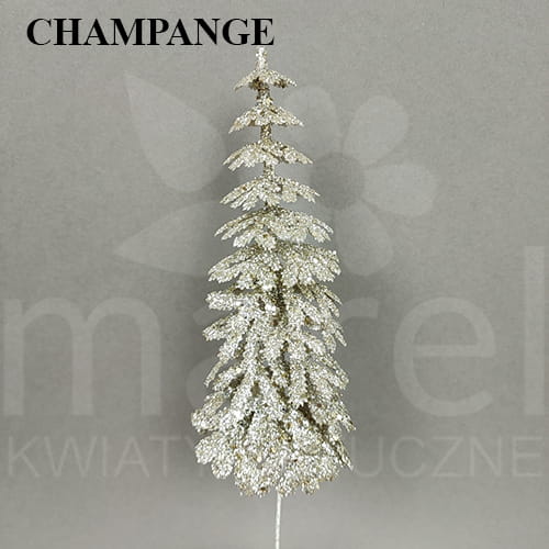 CHAMPANGE.jpg