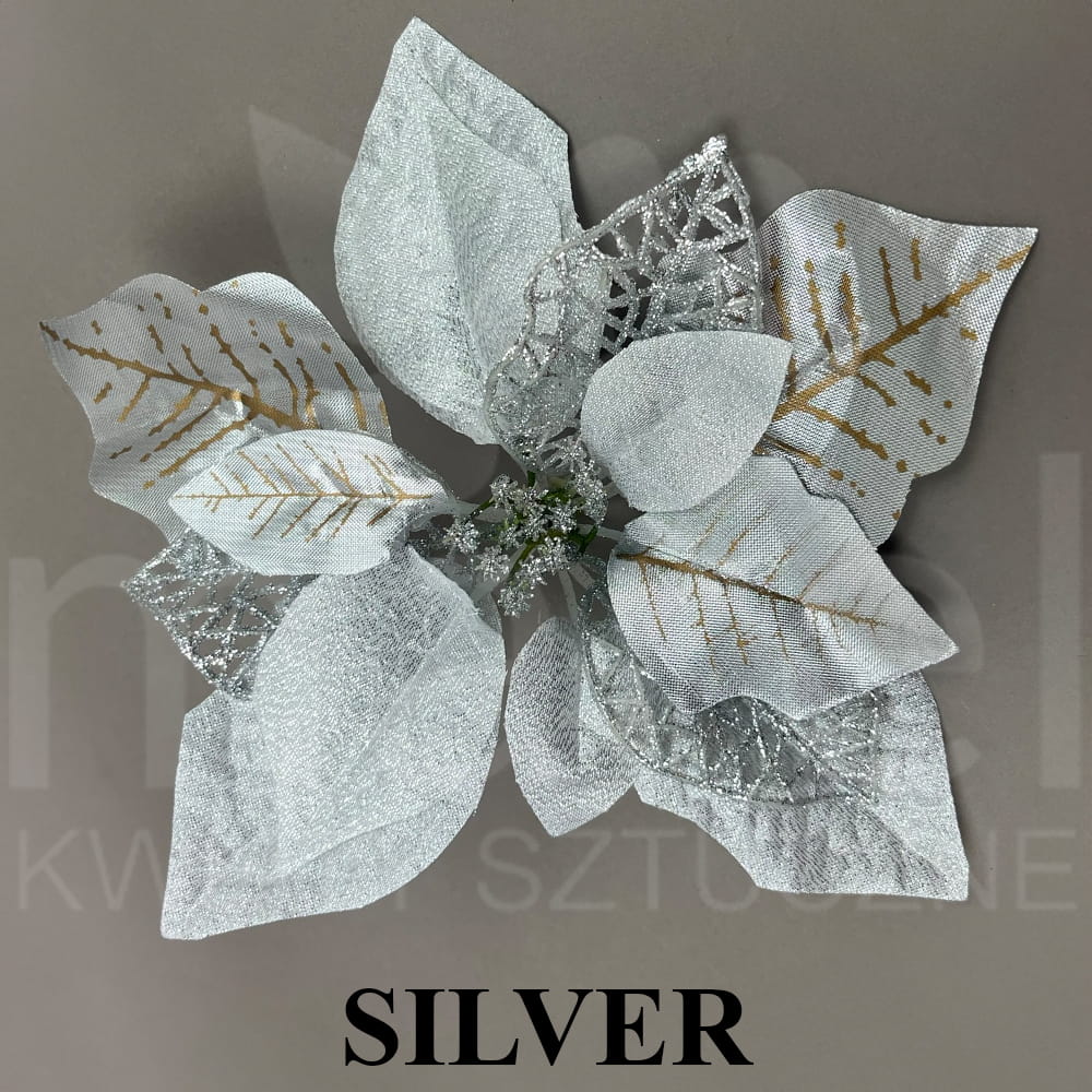 0213A-2 SILVER.jpg
