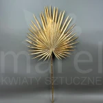 Liść złoty JUN062