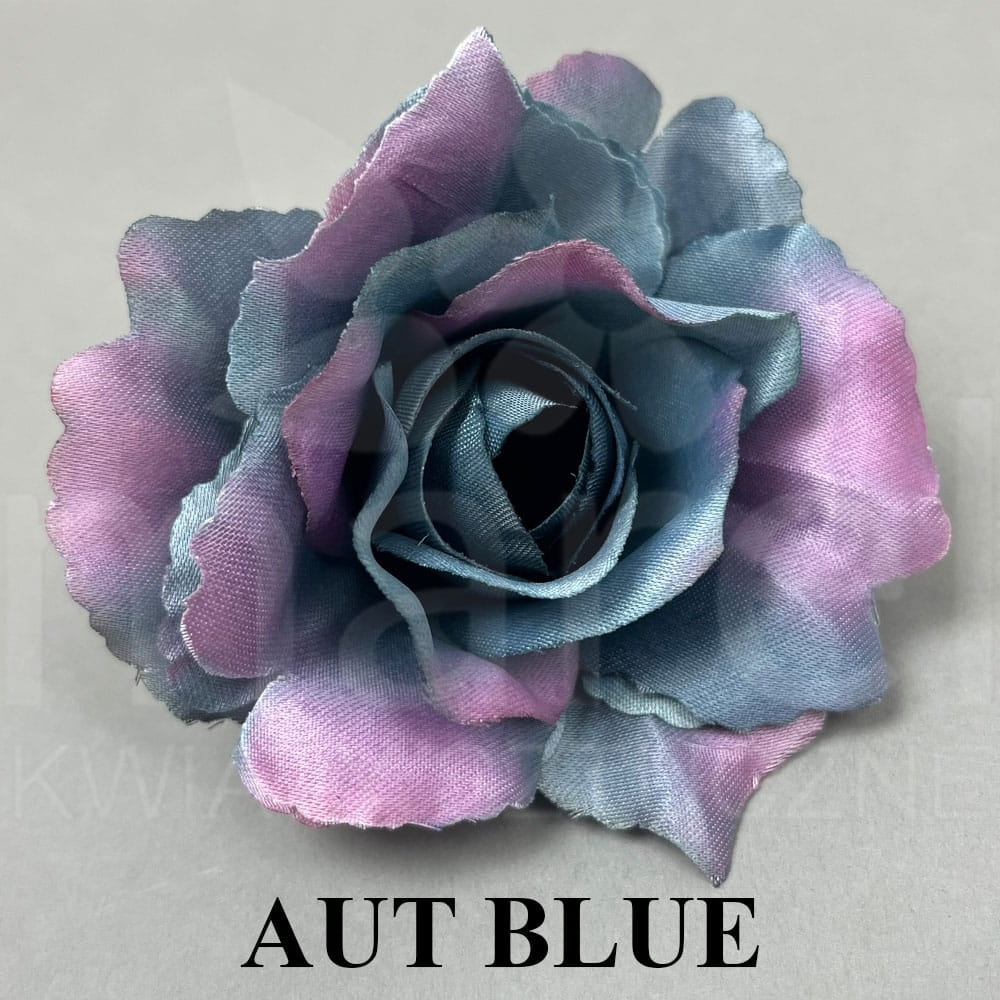 AUT BLUE.jpg