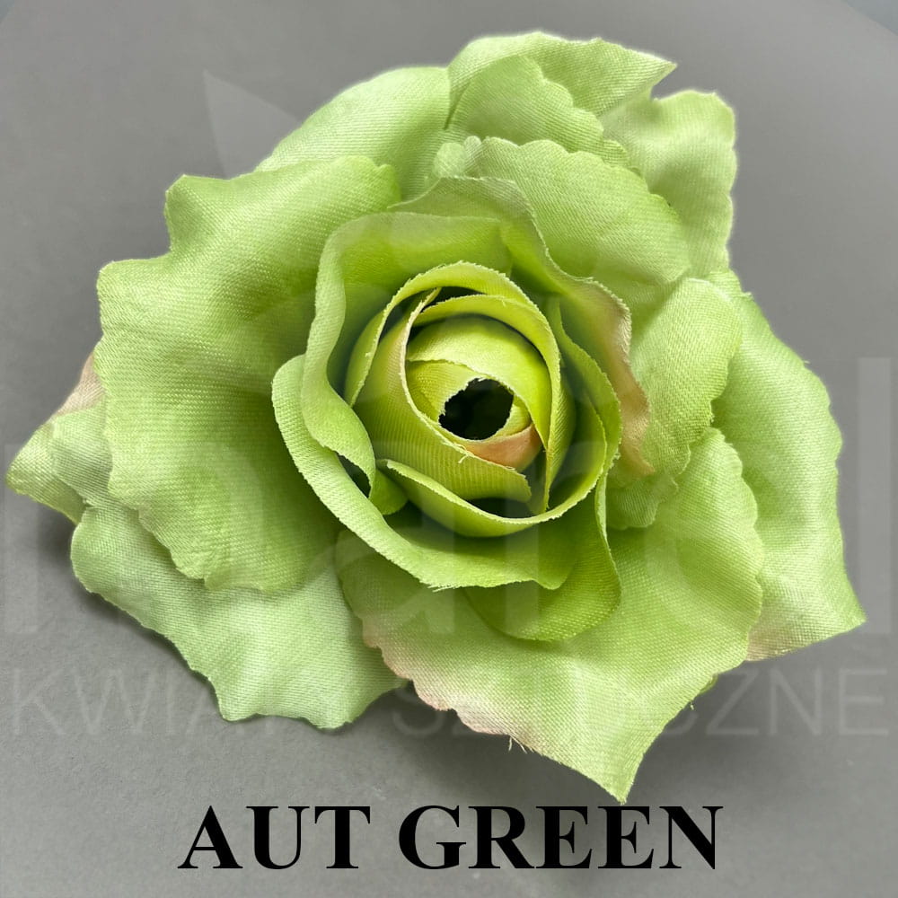 AUT GREEEN.jpg
