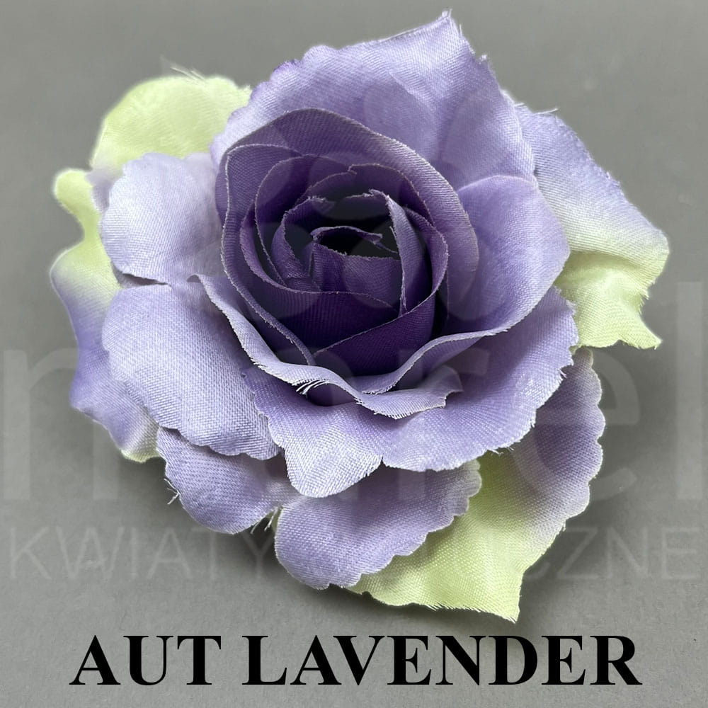 AUT LAVENDER.jpg
